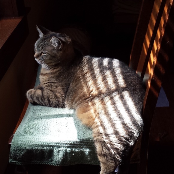 Meet your Posher, Joyce - Picture 5 of 7